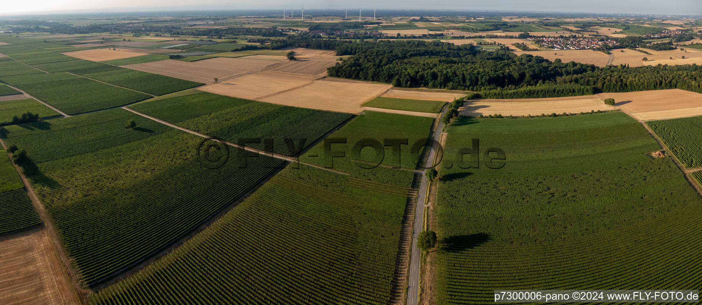 Fields and vineyards between Barbelroth and Winden in Barbelroth in the state Rhineland-Palatinate, Germany