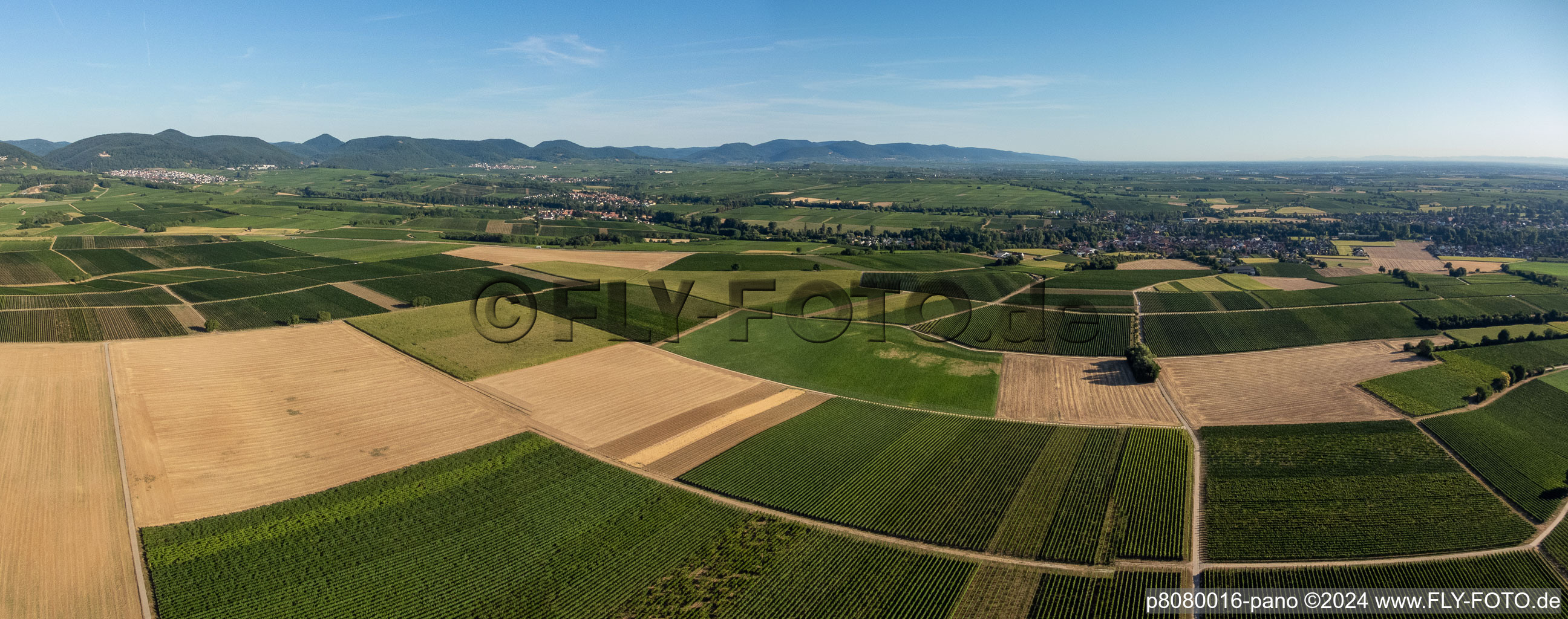 Oblique view of Fields and vineyards around Billigheim in the district Ingenheim in Billigheim-Ingenheim in the state Rhineland-Palatinate, Germany