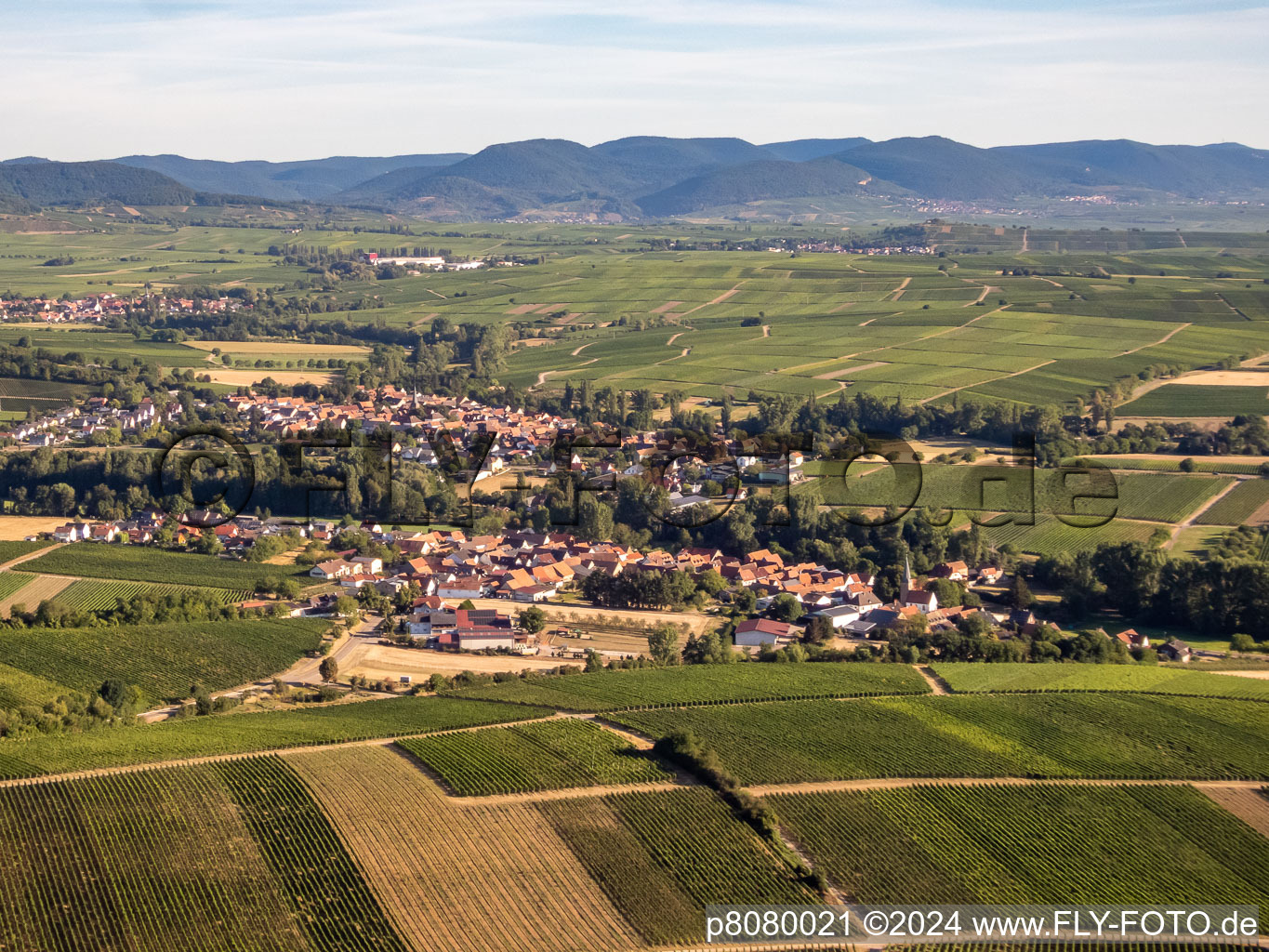 Aerial view of District Klingen in Heuchelheim-Klingen in the state Rhineland-Palatinate, Germany