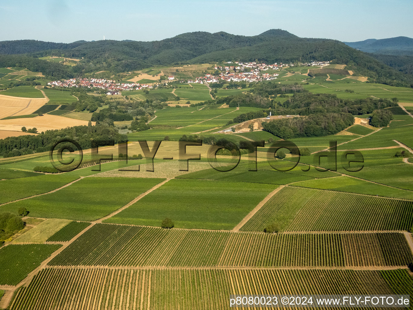 District Gleiszellen in Gleiszellen-Gleishorbach in the state Rhineland-Palatinate, Germany from a drone