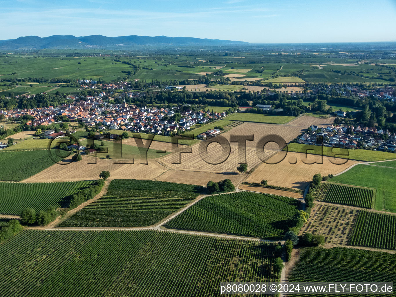 From the south in the district Ingenheim in Billigheim-Ingenheim in the state Rhineland-Palatinate, Germany
