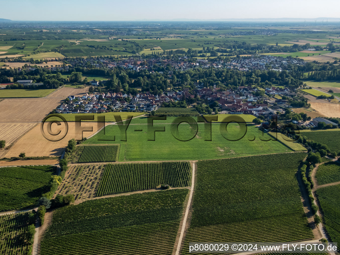 District Mühlhofen in Billigheim-Ingenheim in the state Rhineland-Palatinate, Germany from the plane