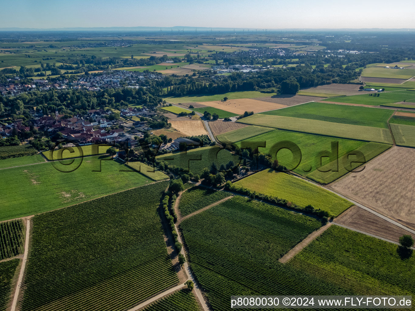 Bird's eye view of District Mühlhofen in Billigheim-Ingenheim in the state Rhineland-Palatinate, Germany