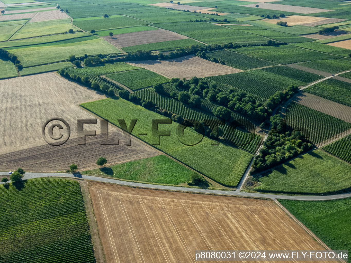 Bird's eye view of District Ingenheim in Billigheim-Ingenheim in the state Rhineland-Palatinate, Germany