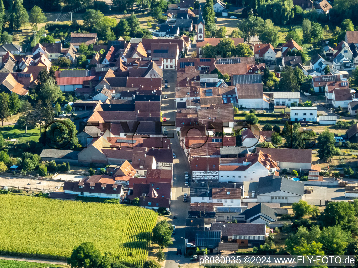 Waldstr in the district Mühlhofen in Billigheim-Ingenheim in the state Rhineland-Palatinate, Germany