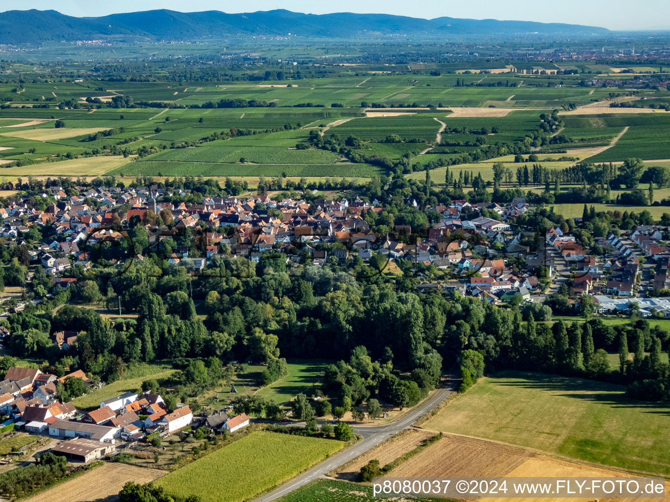 District Billigheim in Billigheim-Ingenheim in the state Rhineland-Palatinate, Germany from the drone perspective