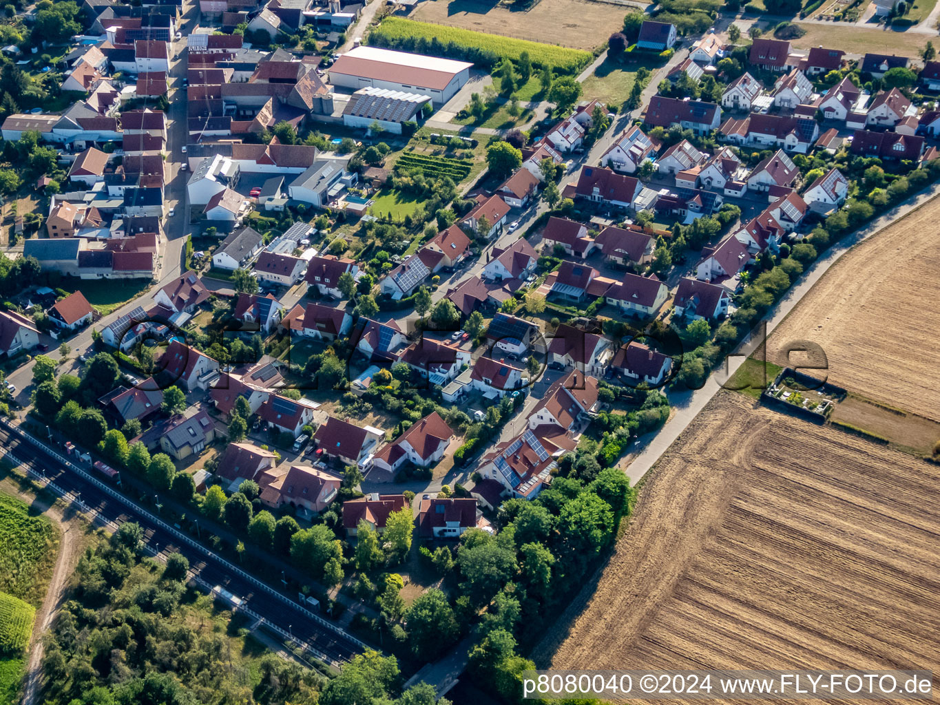 Bread Fields in Steinweiler in the state Rhineland-Palatinate, Germany