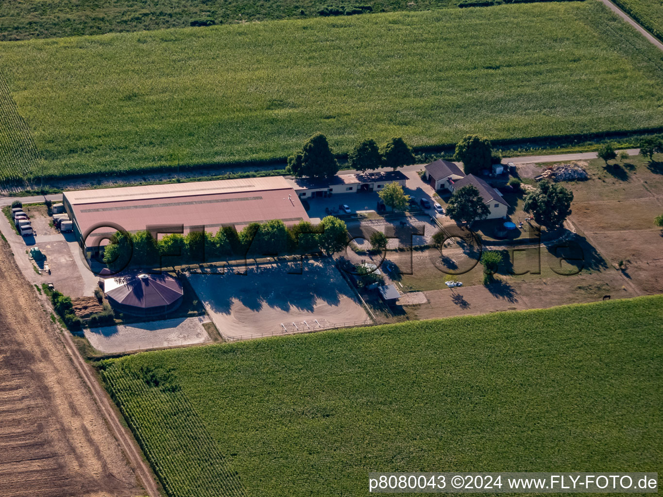 Aerial photograpy of Equestrian center Fohlenhof in Steinweiler in the state Rhineland-Palatinate, Germany