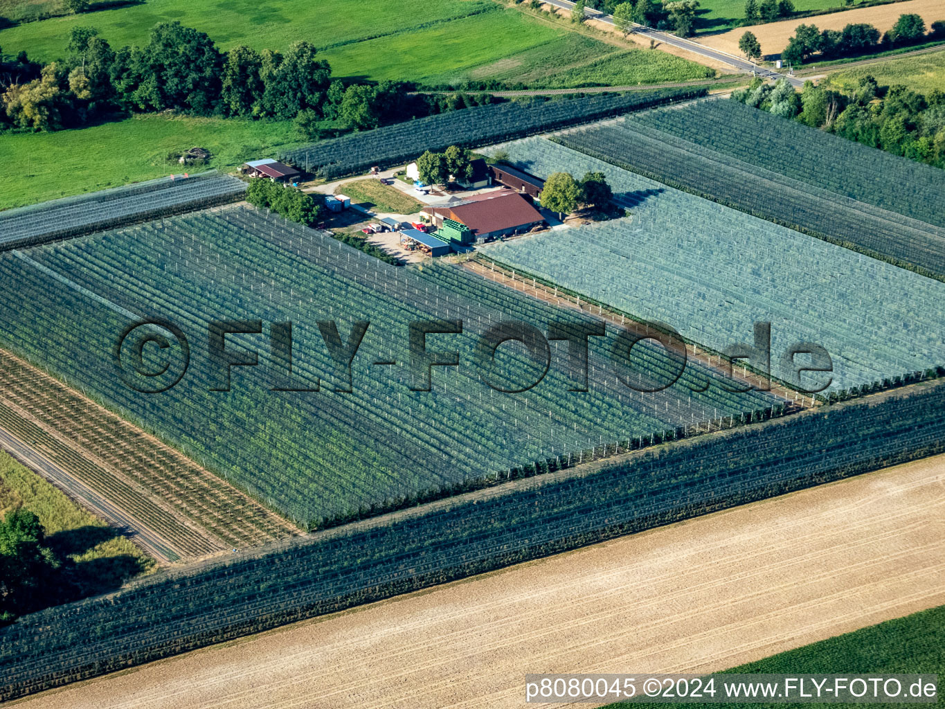 Asparagus and fruit farm Gensheimer in Steinweiler in the state Rhineland-Palatinate, Germany from above