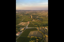 Tower of San Martino della Battaglia