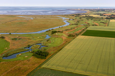 Grounds of the Golf course at of Golfclub Buesum Dithmarschen e.V. in Warwerort in the state Schleswig-Holstein, Germany