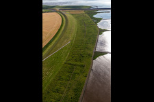 Aerial view of Eider dam with cattle in Wesselburenerkoog in the state Schleswig Holstein, Germany