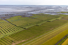 Wadden Sea of North Sea Coast on Westdeich Grothusenkoog in Tating in the state Schleswig-Holstein, Germany