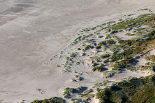 Dunes at the dog beach in the district Ording in Sankt Peter-Ording in the state Schleswig Holstein, Germany