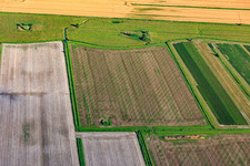Vegetable field structures at Korndeich in the district Sandwehle in Garding in the state Schleswig Holstein, Germany