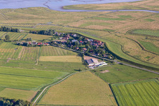 District Olversum in Tönning in the state Schleswig Holstein, Germany