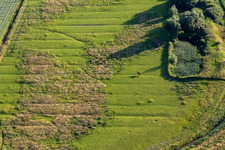 Horse pasture beyond the dike in the district Schülper Neuensiel in Wesselburenerkoog in the state Schleswig Holstein, Germany