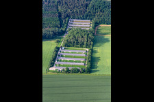 CAE Geflügel GmbH - Roman Striegnitz in the district Wechmar in Drei Gleichen in the state Thuringia, Germany