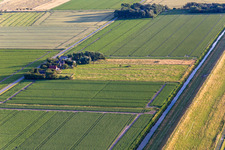 Farms behind the dike in the district Schülperweide in Wesselburenerkoog in the state Schleswig Holstein, Germany