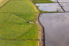 Wesselburenerkoog beach on the North Sea in Wesselburenerkoog in the state Schleswig Holstein, Germany