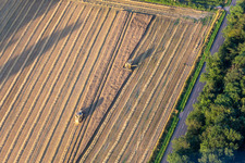 Grain harvesting with 2 combine harvesters in the district Hoxfeld in Borken in the state North Rhine-Westphalia, Germany
