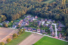Forest path in the district Eppendorf in Haltern am See in the state North Rhine-Westphalia, Germany