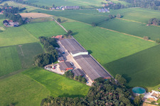 Harald Hying in Südlohn in the state North Rhine-Westphalia, Germany