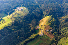 Homestead of a black forest farm Felmeck in Oppenau in the state Baden-Wuerttemberg, Germany