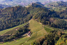 Staufenberg Castle behind the Stollenberg in the district Heimbach in Durbach in the state Baden-Wuerttemberg, Germany