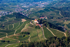 Aerial view of Castle winery and restaurant Schloss Staufenberg in Durbach in the state Baden-Wuerttemberg, Germany