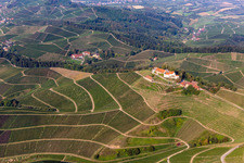 Oblique view of Markgraf von Baden Winery in Staufenberg Castle in the district Heimbach in Durbach in the state Baden-Wuerttemberg, Germany