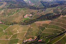 Winery in the district Heimbach in Durbach in the state Baden-Wuerttemberg, Germany