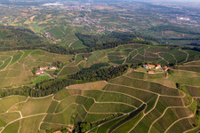 Winery and guest house Winzerhof and Castle of Schloss Staufenberg on the edge of vineyards and in Durbach in the state Baden-Wuerttemberg, Germany