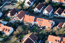 Living close to the city, in the Mirabell Garden in Kandel in the state Rhineland-Palatinate, Germany