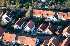 Living close to the city, In the Peach Garden in Kandel in the state Rhineland-Palatinate, Germany