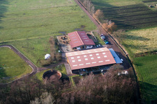 Pony farm in Freckenfeld in the state Rhineland-Palatinate, Germany