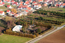 Tree nursery in the district Schaidt in Wörth am Rhein in the state Rhineland-Palatinate, Germany
