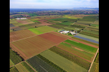 Bauer's Garden from the Northeast in Winden in the state Rhineland-Palatinate, Germany