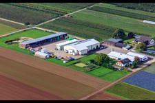 Aerial view of Bauer's Garden from the Northeast in Winden in the state Rhineland-Palatinate, Germany