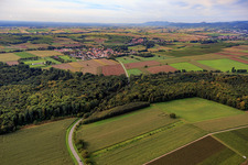 Route of the L544 through the forest near Barbelroth in the district Ingenheim in Billigheim-Ingenheim in the state Rhineland-Palatinate, Germany