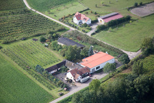 On Münsterweg in the district Klingen in Heuchelheim-Klingen in the state Rhineland-Palatinate, Germany