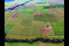 Rosenhof in Steinweiler in the state Rhineland-Palatinate, Germany