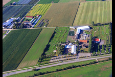Southern Palatinate Football Golf Park at Adamshof Kandel in Kandel in the state Rhineland-Palatinate, Germany