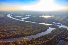 Nature reserve Ketscher Rheininsel and Altrhein as well as Bollenwörth in the Otterstädter Auenwald on the other side of the Rhine in Otterstadt in the state Rhineland-Palatinate, Germany