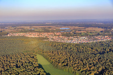 Hintergraben and Dörniggraben border a clearing in the Bienwald in Kandel in the state Rhineland-Palatinate, Germany