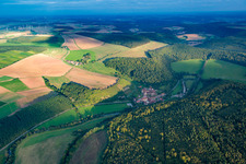 Aerial view of Monastery Bronnbach in the district Bronnbach in Wertheim in the state Baden-Wuerttemberg, Germany