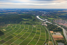 Franconian vineyard "Scharlachberg" above the Main in Thüngersheim in the state Bavaria, Germany