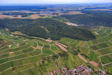 Aerial view of Franconian vineyard "Hönigsbergm -Fischberg" in the village on the Main in Thüngersheim in the state Bavaria, Germany