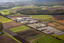 Dieter Denze Nursery in Gochsheim in the state Bavaria, Germany