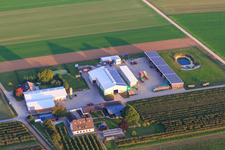 Organic farm Bauers Garten from the Northwest in Winden in the state Rhineland-Palatinate, Germany